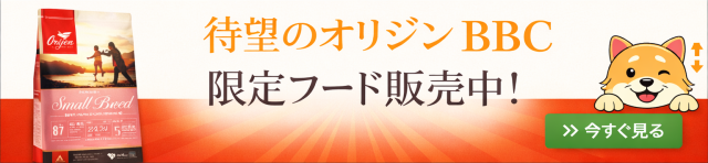 BBC商品販売開始