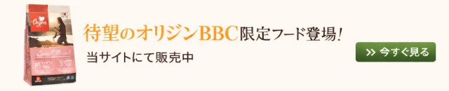 BBC商品販売告知