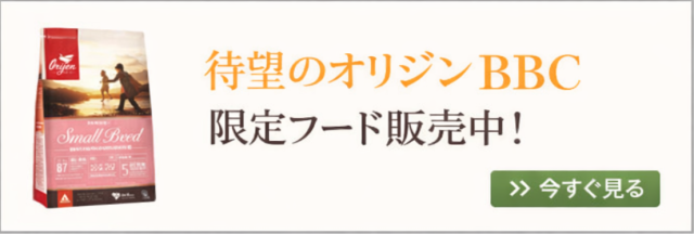 BBC商品販売開始