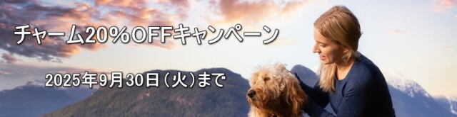 チャームキャンペーン2025