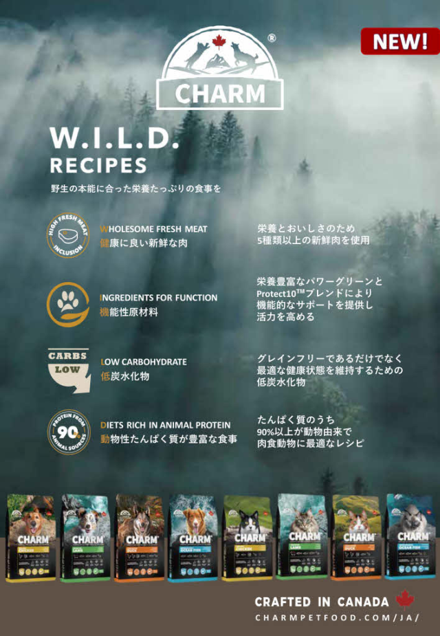 チャーム入荷案内バナー