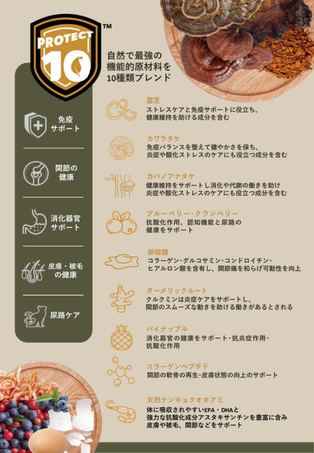 チャーム入荷案内バナー2