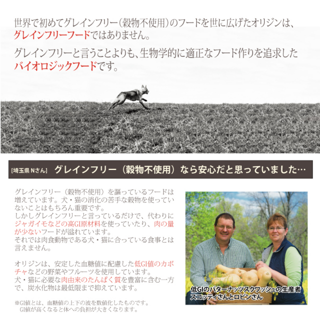 新オリジン③犬
