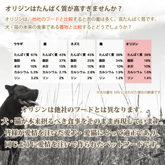 新オリジン⑦