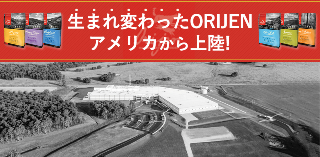 新オリジンバナー⑥