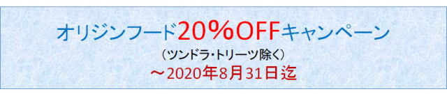 オリジン20%OFFキャンペーン