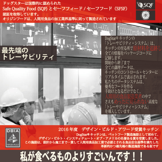 新オリジン②