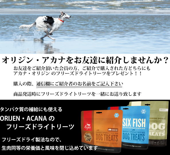 お友達紹介キャンペーン案内