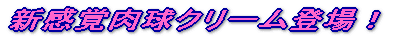 新感覚クリーム